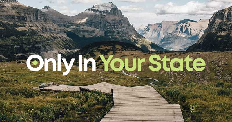 About Us Only In Your State About Us Only In Your State